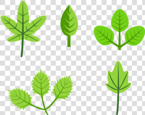 Set Of Leaves Clip Arts   Leaves Clip Art  HD Png Download