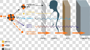 Qual Efeito Do Nacl Nas Particulas   Poder De Penetração Da Radiação  HD Png Download