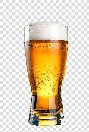 Transparent Background Beer Glass Png Image Free Download   Glass Of Beer Png  Png Download