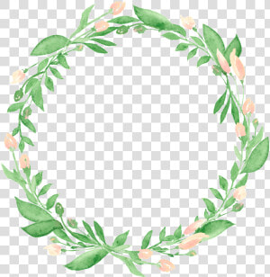 Leaf Border Transparent   Transparent Background Leaf Wreath Png  Png Download