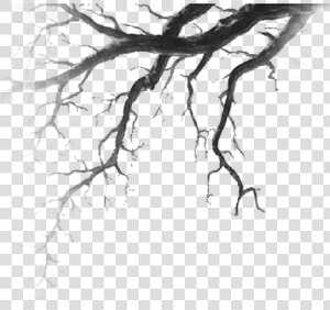  tree  deadtree  forest  nature  branch  foreground   Tree Drawing Horror  HD Png Download