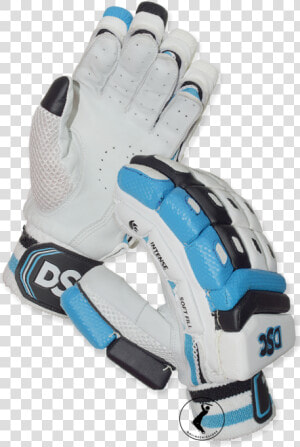 Dsc Intense Passion Cricket Batting Gloves   Dsc Intense Passion Batting Gloves  HD Png Download