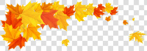 Clip Art Fall Tree Royalty Free   Fall Leaves Border Png  Transparent Png