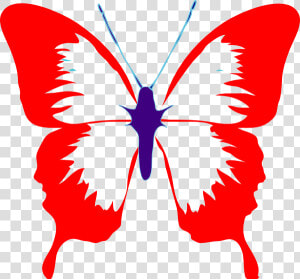 Butterfly Cliparts Red   Black And White Butterfly Outline  HD Png Download