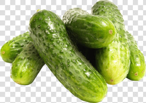 Pile Of Cucumbers   Cucumber Pickling Png  Transparent Png