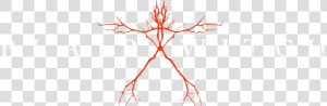 Blair Witch Png  Transparent Png