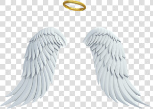 Transparent Halo Png   Glowing Angel Wings Png  Png Download