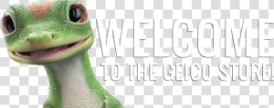 Iguana   Png Download   Close up  Transparent Png