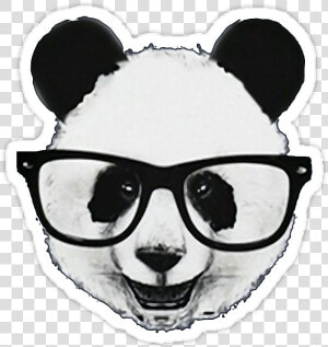  baby  animals  animales  emoticon  hipster  tumblr   Panda Hipster  HD Png Download