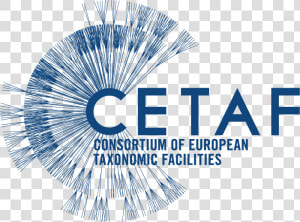 Cetaf Consortium Of European Taxonomic Facilities   Richard  amp  The Shadows Reunited  HD Png Download