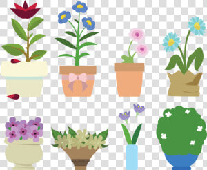 Plants   Flowerpot  HD Png Download