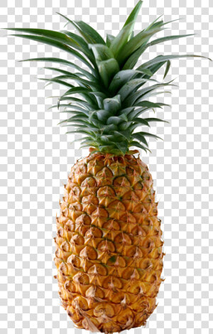 Pineapple Png Image  Free Download   Ananas Png  Transparent Png