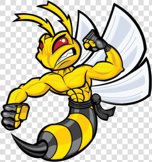 Bee  Hornet  Wasp  Vespa Fighter   Cartoon Hornet Png  Transparent Png