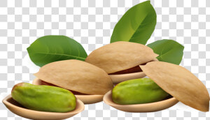 Pistachios Png   Pistachio Clipart  Transparent Png