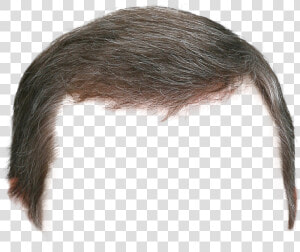 Hair Wig Png   Парик Пнг  Transparent Png