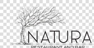 Natura Logo Black  HD Png Download