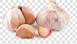 Spring Garlic   Ajo En Png  Transparent Png