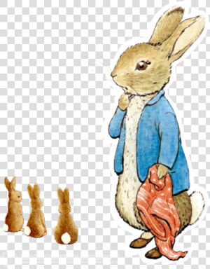 Transparent Peter Rabbit Clipart   Peter Rabbit Transparent Background  HD Png Download