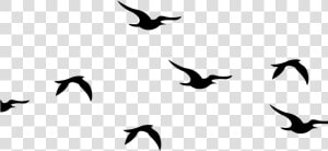 Flying Birds Silhouette Png Clipart   Png Download   Flying Silhouette Bird Clipart  Transparent Png
