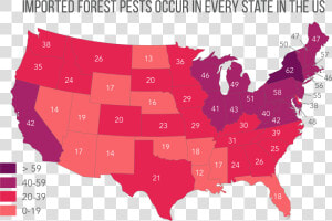 Imported Forest Pests Cc By Leslie Tumblety cary Institute   Hotspots In The Usa  HD Png Download