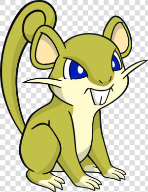 019 Rattata Dw Shiny   Pokemon Rattata  HD Png Download