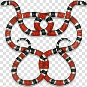 Gucci Guccigang Snakes Guccilogo Logo Stickerpng   Coral Snake Draw  Transparent Png