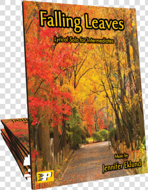 Falling Leaves Title Falling Leaves   Autumn  HD Png Download