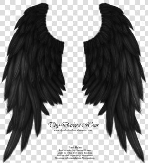 Real Angel Win Angel Wings Png   Black Angel Wings Png  Transparent Png