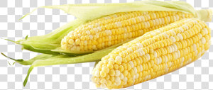 Corn Png Free Download   Meijer Corn  Transparent Png