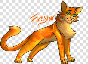 Firestar     Warrior Cats       Red Fox  HD Png Download