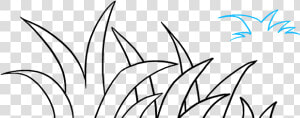 Vegetation Drawing Grassland   Easy Way To Draw Grass  HD Png Download