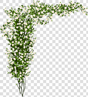 Arrangement  Flowers  Green  Small Flower   Rose Bush Png  Transparent Png