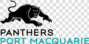 Panther Logo Png   Panthers Port Macquarie Logo  Transparent Png