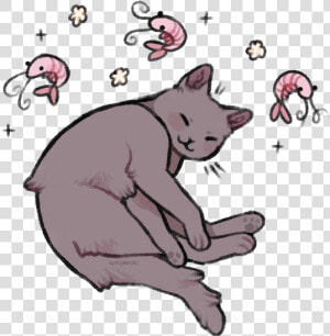 Shrimp Pose   Cat Shrimp  HD Png Download