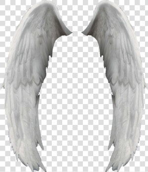 Search Results For “angel Wings Png” Calendar   Angel Wings  Transparent Png