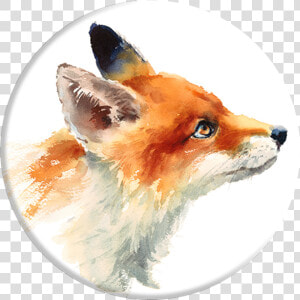 Popsockets Grip Fox  Popsockets   Fox Face Drawing Side  HD Png Download