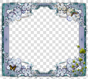 Butterfly Photo Frame   Elders Day Wishes  HD Png Download