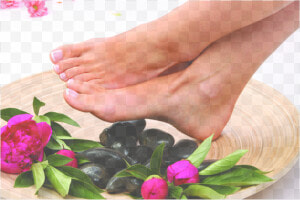 Picture   Pedicure  HD Png Download