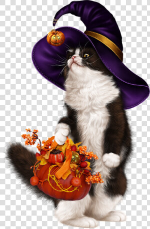 Centerblog Halloween Chat Tubes   Png Download   Kitten  Transparent Png