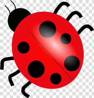 Download Ladybug Png Picture   Clipart Ladybug  Transparent Png