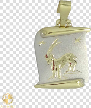 Zodiac Sign   Capricorn   Locket  HD Png Download