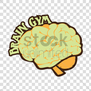 Human Brain With Brain Gym Words Vector Graphic Clipart  HD Png Download