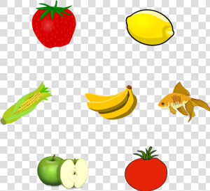 Drawing Vegetable Easy   Odd One Out Fruits And Vegetables  HD Png Download