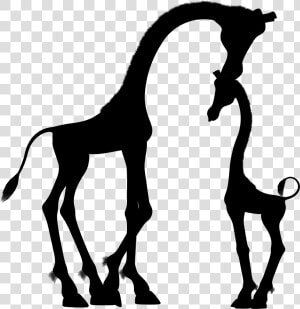 Mother And Child Giraffe Silhouette Clip Arts   Baby Giraffe And Mom Clipart  HD Png Download