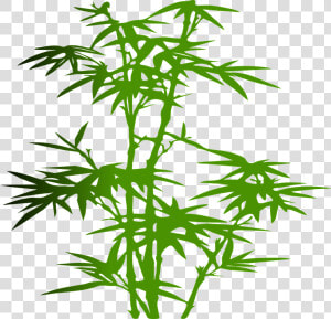 Bamboo  Plant  Green  Leaves  Zen  Japanese  Tropical   Bamboo Transparent Cartoon  HD Png Download