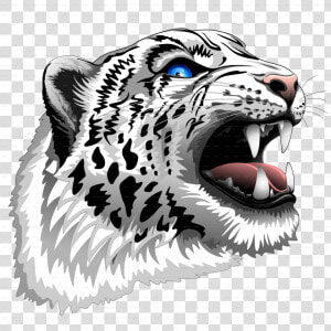 Snow Leopard Roar   Snow Leopard Clipart Png  Transparent Png