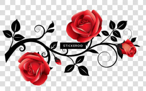 Transparent Background Roses Border Clipart   Png Download   Rose Clipart Transparent Background  Png Download