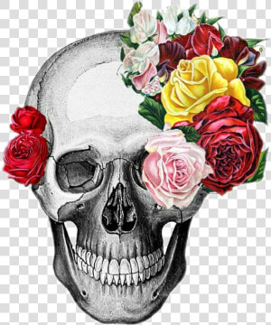  skull  humanface  humanhead  head  scaryv horror  flowers   Skull With Flowers Png  Transparent Png