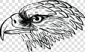 Cute Eagle Png Black And White   Falcon Clipart Black And White  Transparent Png