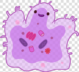 Cute Bacteria Png  Transparent Png